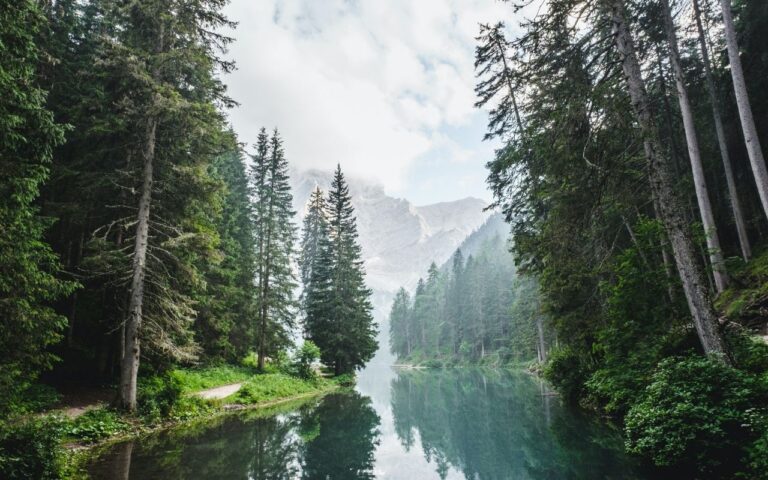 Diseno-sin-titulo-12