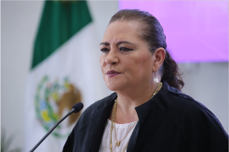 Taddei defiende papel de los Oples y llama a reflexionar sobre costo de la democracia en reforma electoral