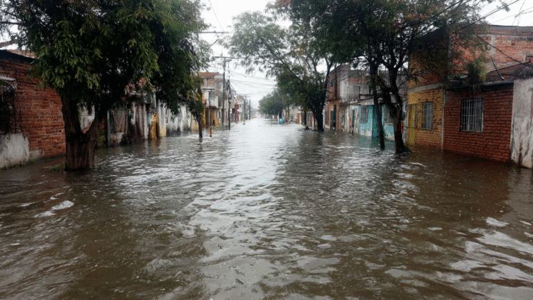 el_fantasma_del_fonden_acecha_en_cada (3)