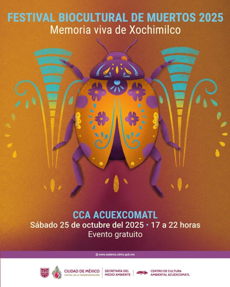 festival portada
