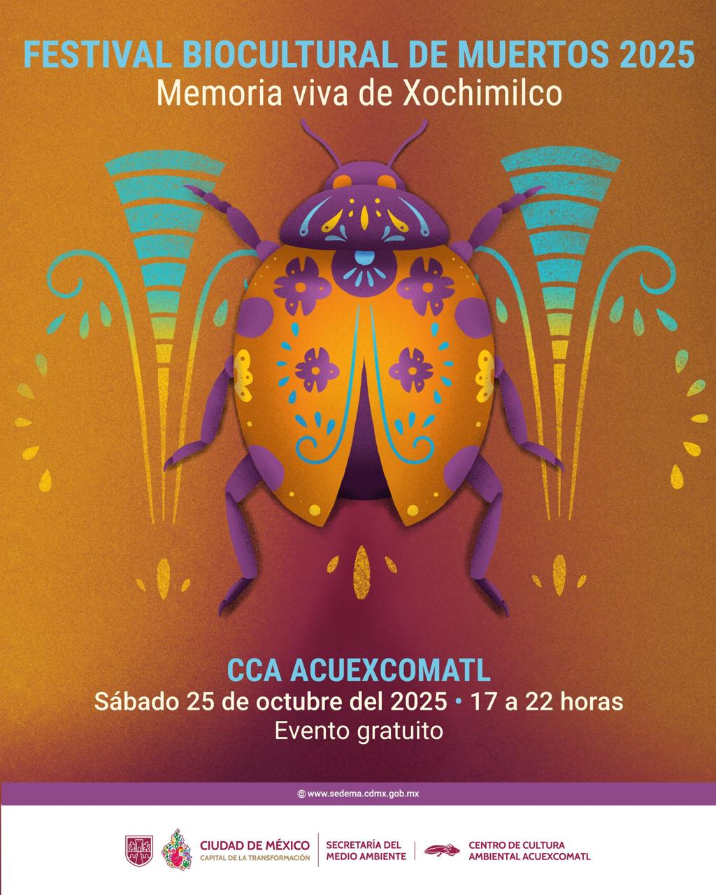 festival portada