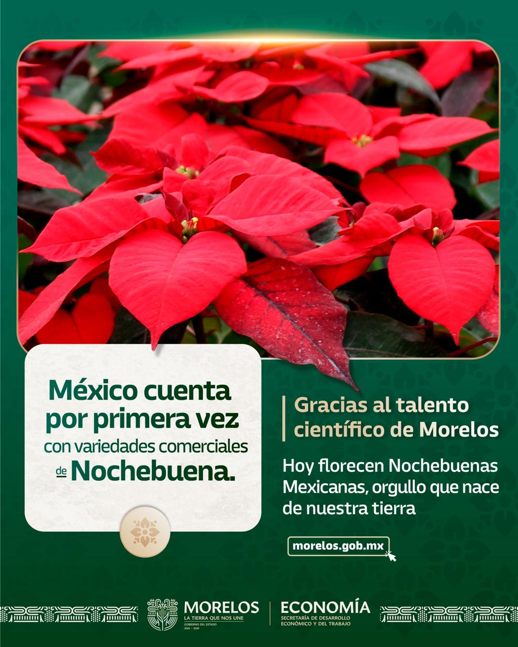 Imagen de WhatsApp 2025-12-16 a las 13.21.19_afb07580