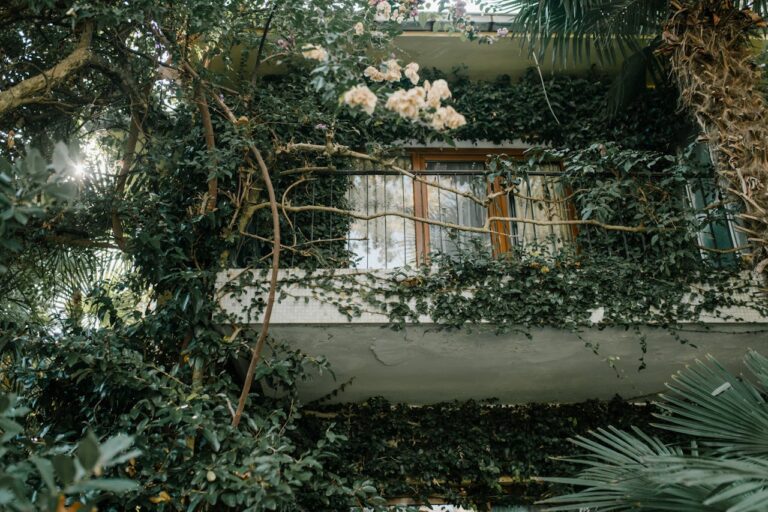 pexels-julia-volk-5877975