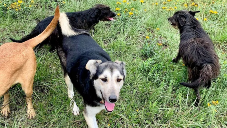 Screenshot 2026-01-23 at 16-31-28 M4T7Q6ZEE5EQFNYPGPJU5OD6UM.jpg (AVIF Imagen 992 × 558 píxeles)