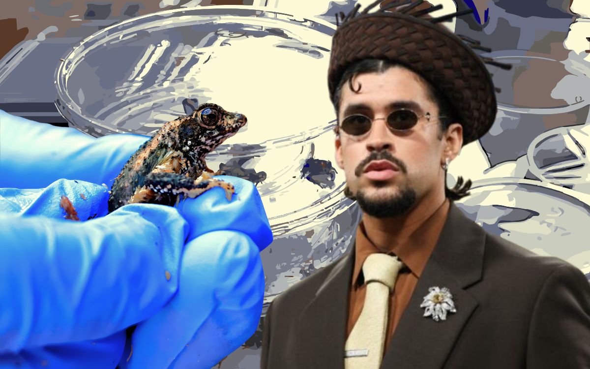 bad-bunny-sapo-cacho-concho-141025