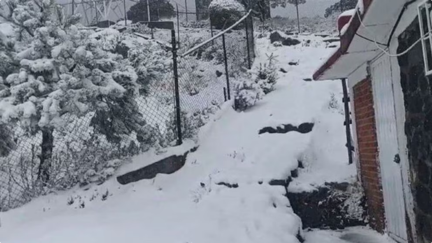 Screenshot 2026-03-31 at 17-21-00 CDMX confirman cierre temporal de ingreso al Ajusco ante riesgos por nieve - Infobae