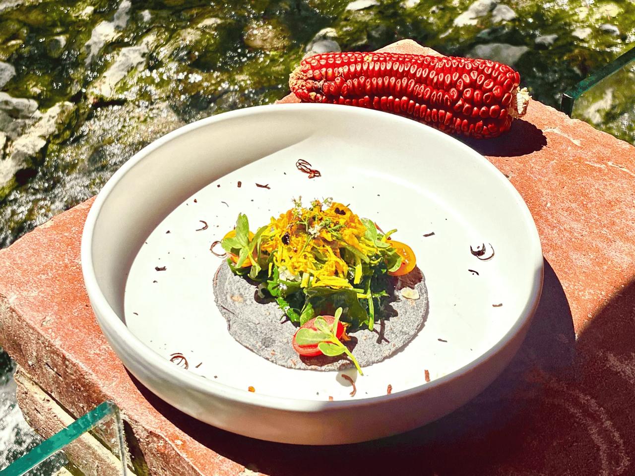 Semana de la Cocina Tlaxcalteca 2026- sabores, tradición y experiencias únicas